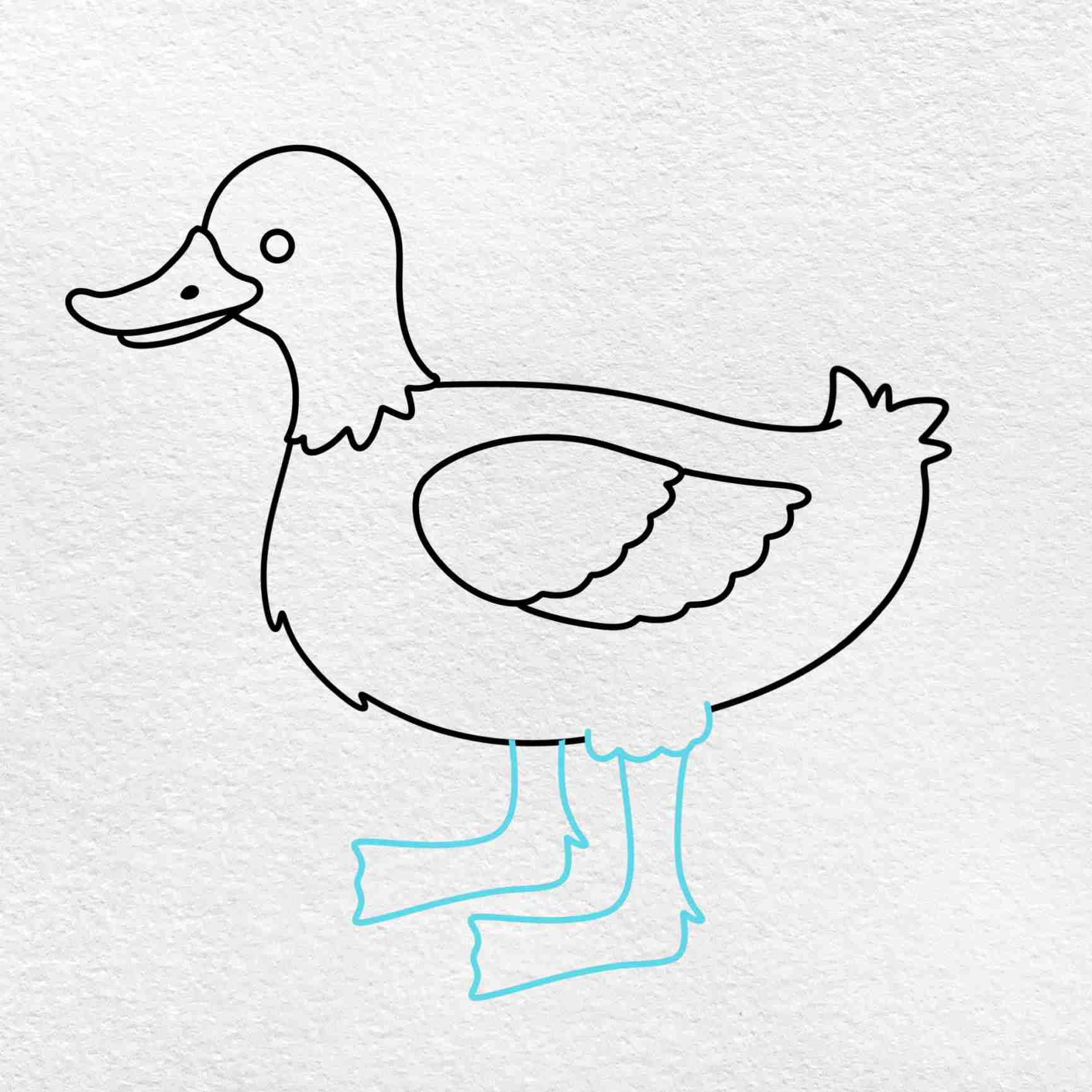 Basic Duck Drawing For Kids | Drawing Tutorial